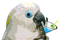 _images/cockatoo-logo.png
